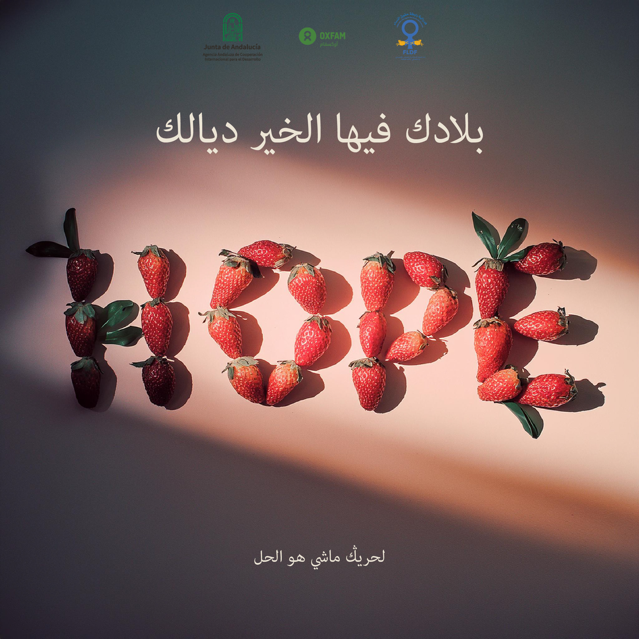 Symbolic campaign visual representing women agricultural workers rights.
